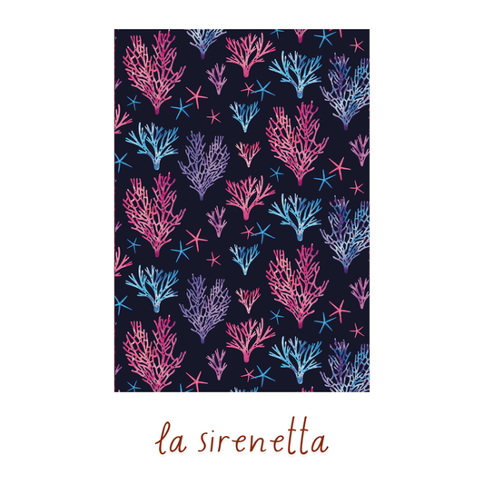 DARK INSERT- LE LANTERNE DEL CANTASTORIE